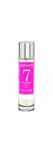Caravan nº7