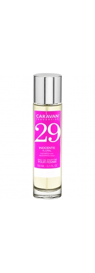 Caravan nº29